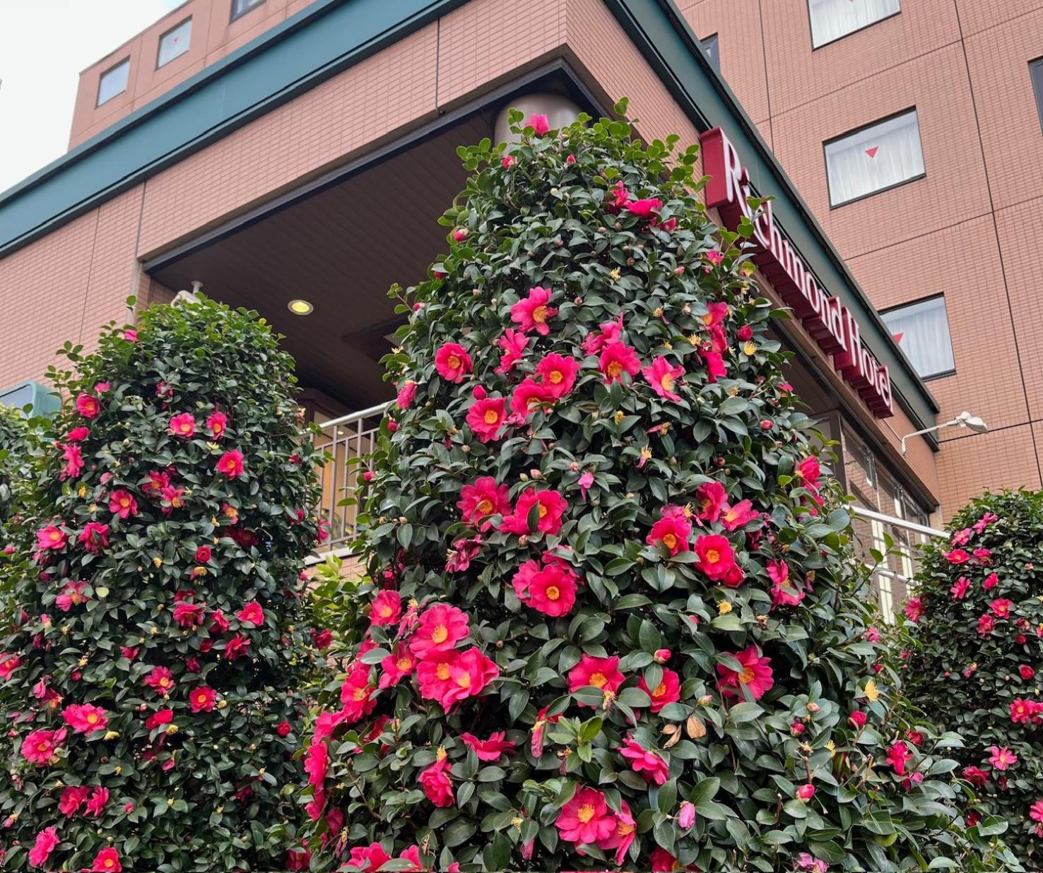 Richmond Hotel Tokyo Musaşino Dış mekan fotoğraf